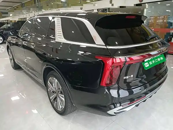Hongqi E-HS9 2022, фото 5