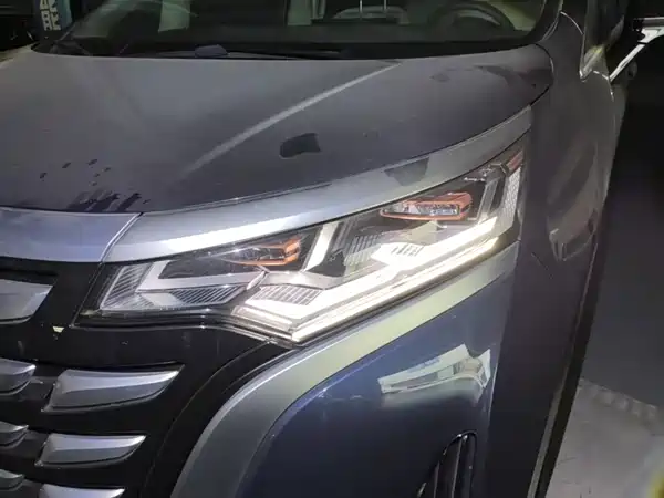 Denza D9 2022, фото 23