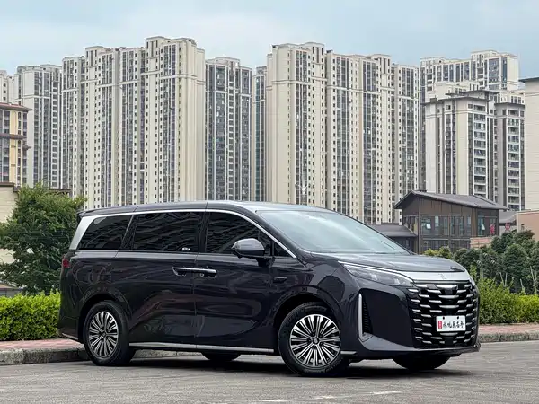BYD Xia 2025, фото 3
