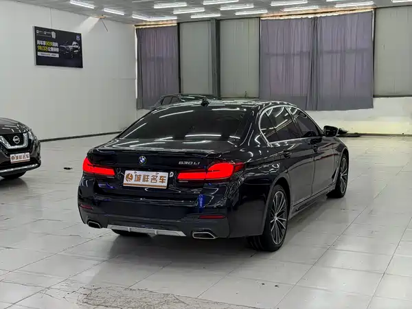 BMW 5 Series 2022, фото 9