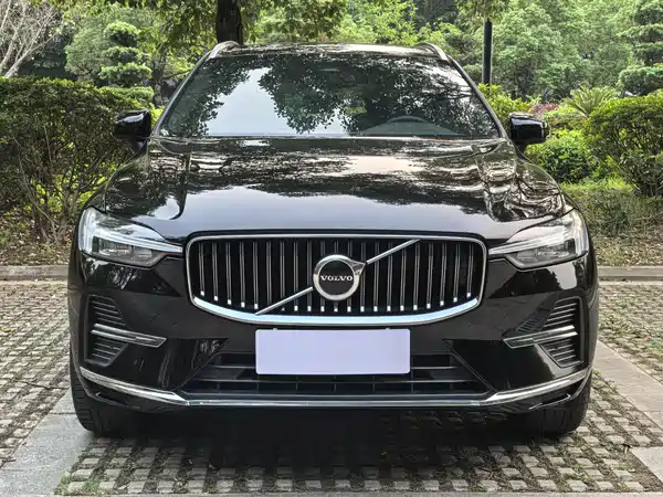 Volvo XC60 2022, фото 2
