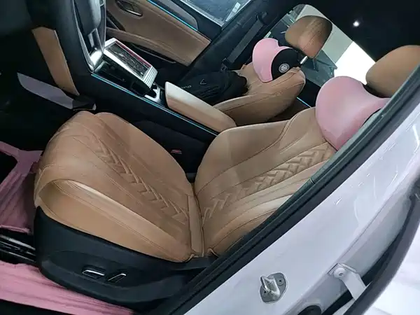 BYD Song L DM-i 2024, фото 15