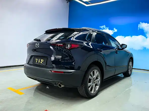 Mazda CX-30 2021, фото 4