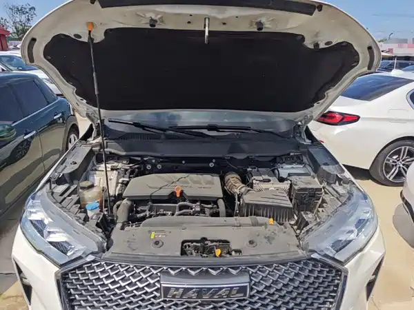 Haval H6 2021, фото 19