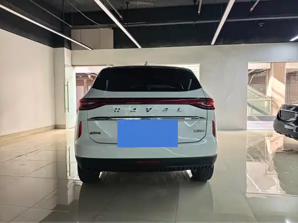Haval H6 2021, фото 5
