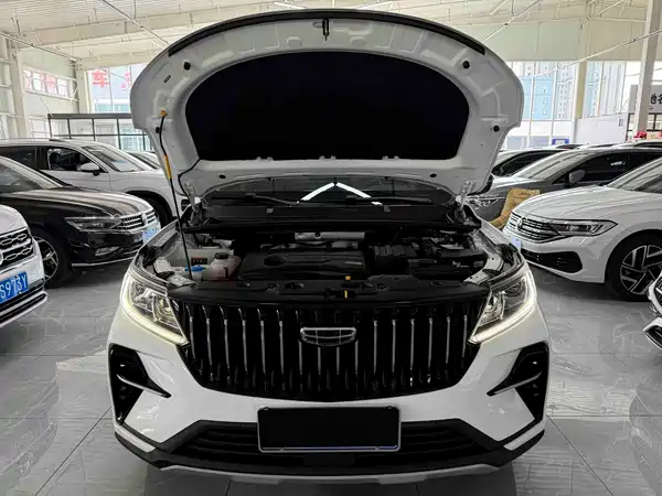 Geely Emgrand X6 2021, фото 19