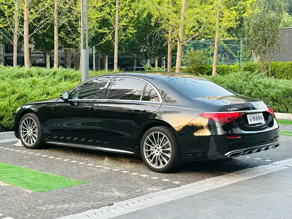 Mercedes-Benz S-Class 2022, фото 6