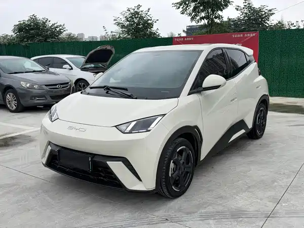 BYD Seagull 2024