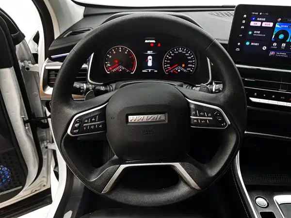 Haval H6 2021, фото 10