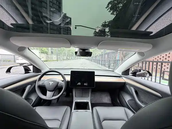 Tesla Model 3 2022, фото 13