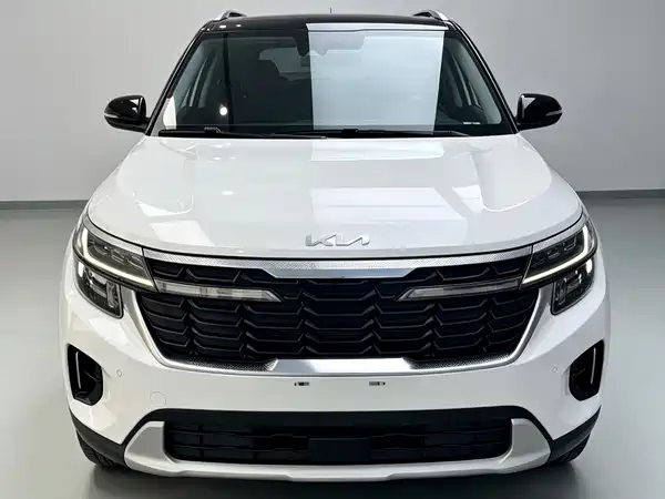 Kia Seltos 2023, фото 2