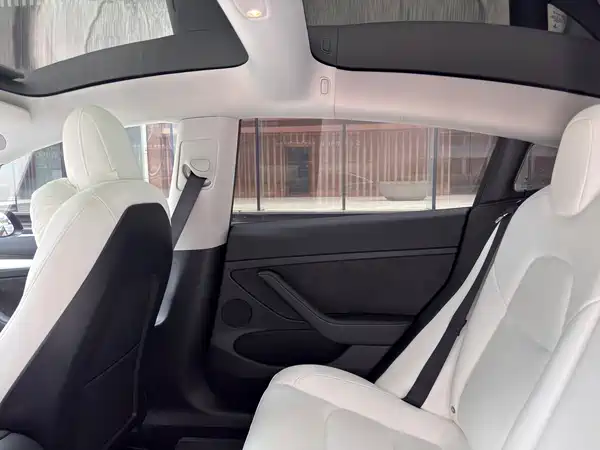 Tesla Model 3 2022, фото 22