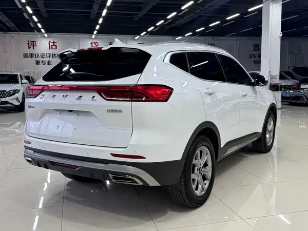 Haval H6 2021, фото 6