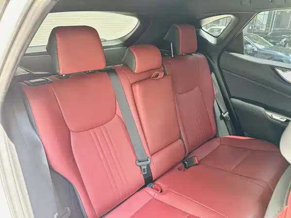 Lexus NX 2024, фото 8