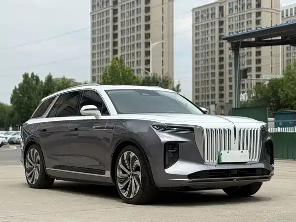 Hongqi E-HS9 2022, фото 10