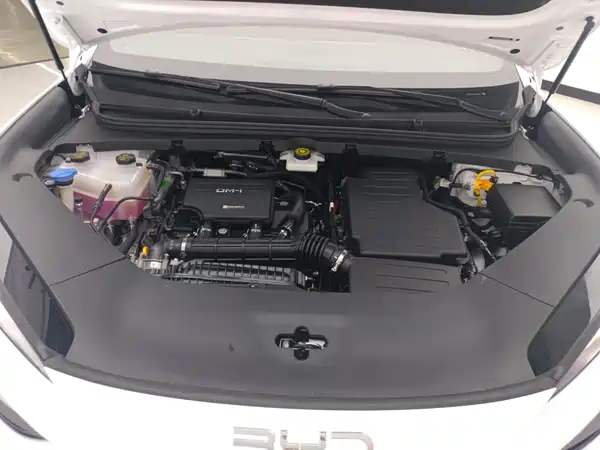 BYD Sealion 06 DM-i 2025, фото 10