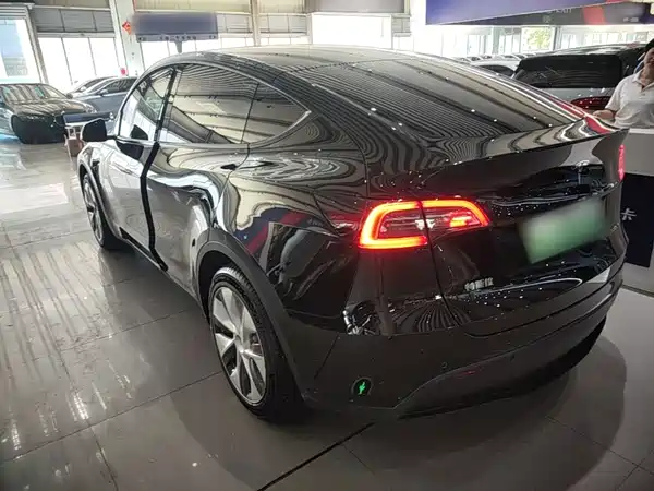 Tesla Model Y 2023, фото 5