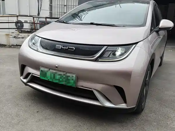 BYD Dolphin 2021