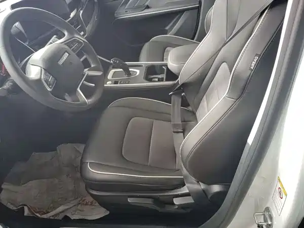 Haval H6 2021, фото 14
