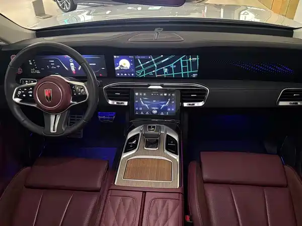 Hongqi E-HS9 2022, фото 14