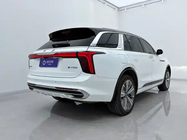 Hongqi E-HS9 2022, фото 6