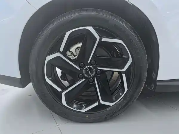 BYD Seal 06 DM-i Touring 2025, фото 9