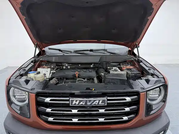 Haval Dargo 2021, фото 7
