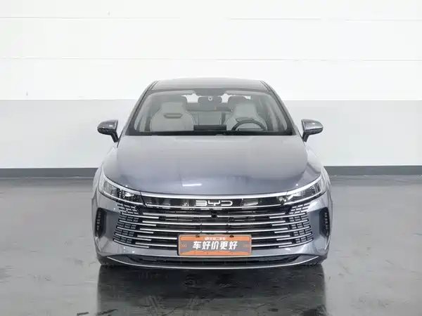 BYD Destroyer 05 2024, фото 3