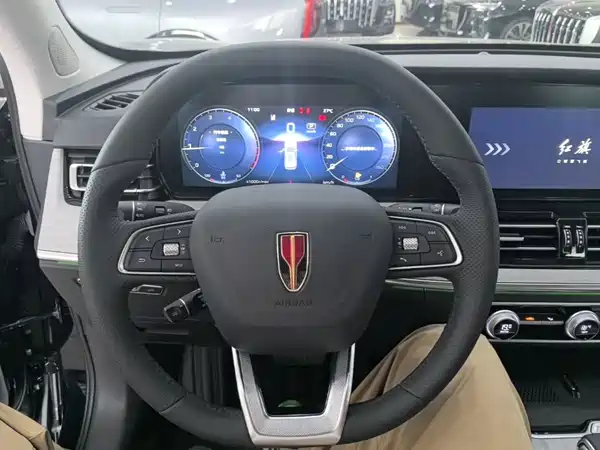 Hongqi HS5 2025, фото 11