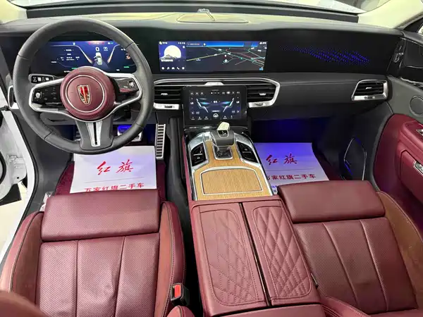 Hongqi E-HS9 2021, фото 10