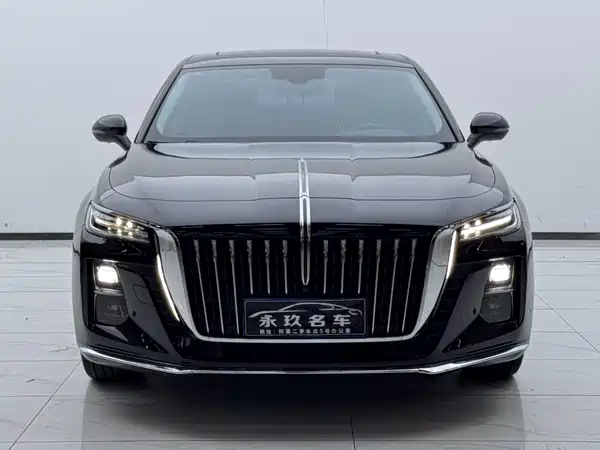 Hongqi H5 2025, фото 3