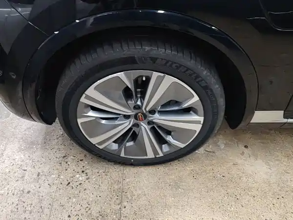 Hongqi E-HS9 2022, фото 23