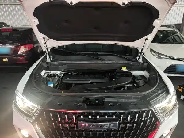 Haval H6 2023, фото 19