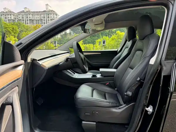 Tesla Model Y 2021, фото 5