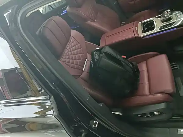 Hongqi E-HS9 2022, фото 25