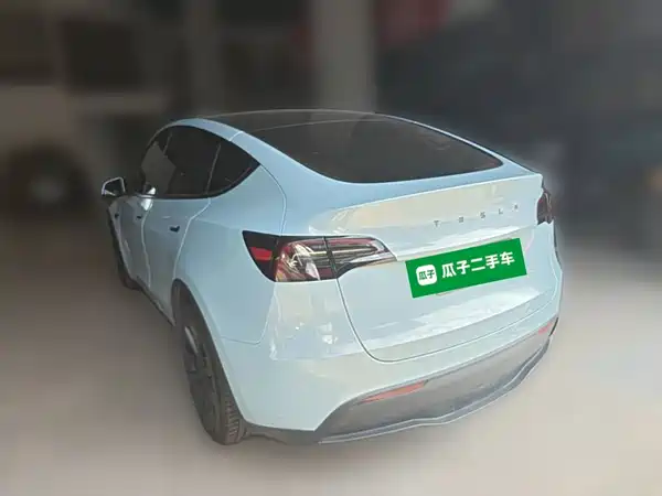 Tesla Model Y 2021, фото 6