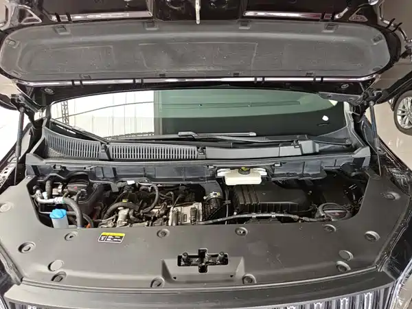 Hongqi HQ9 PHEV 2024, фото 20