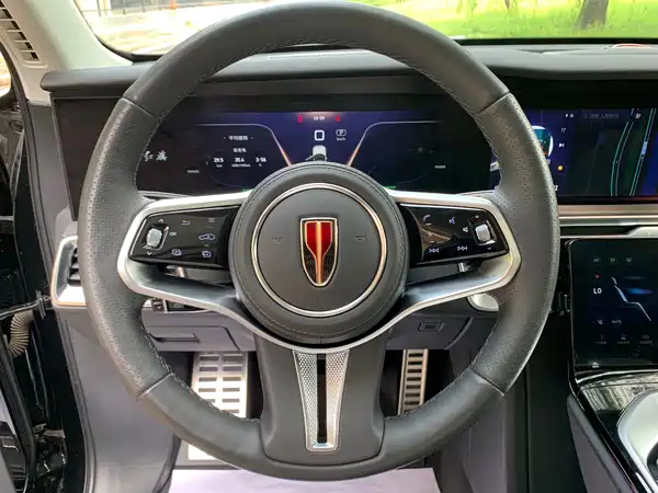 Hongqi E-HS9 2021, фото 5