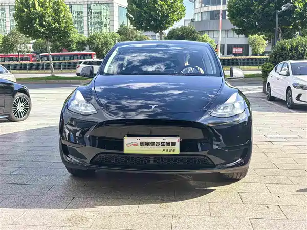 Tesla Model Y 2022, фото 2
