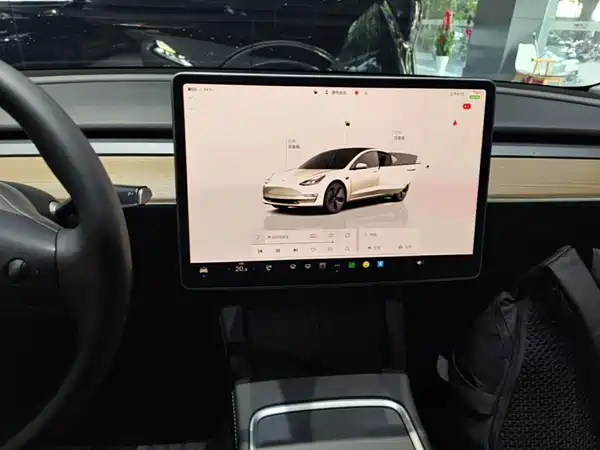 Tesla Model 3 2022, фото 12