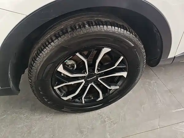 Haval H6 2023, фото 22