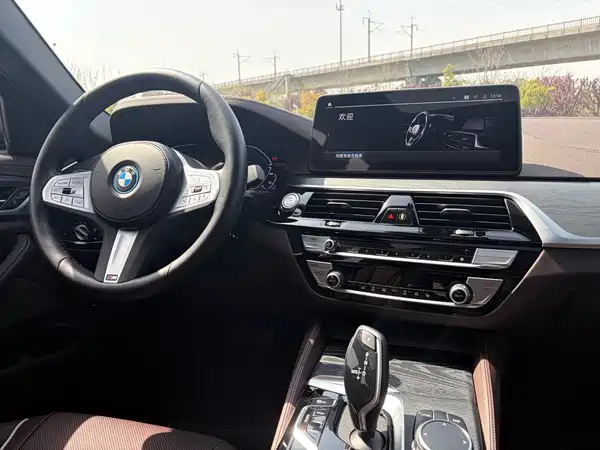 BMW 5 Series PHEV 2022, фото 13