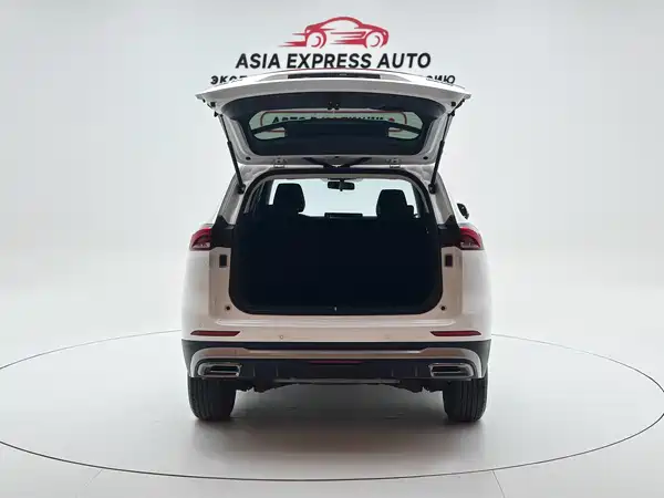 Haval H6 2021, фото 5