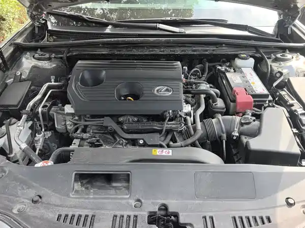Lexus ES 2025, фото 10