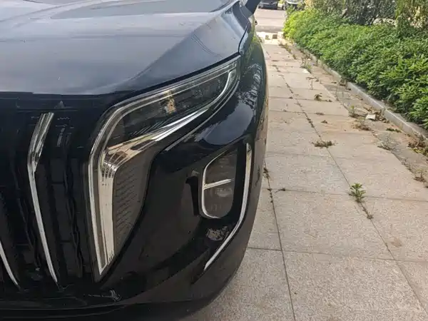Hongqi HS7 PHEV 2024, фото 24