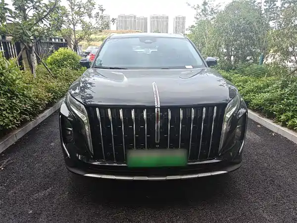 Hongqi HS7 PHEV 2024, фото 3