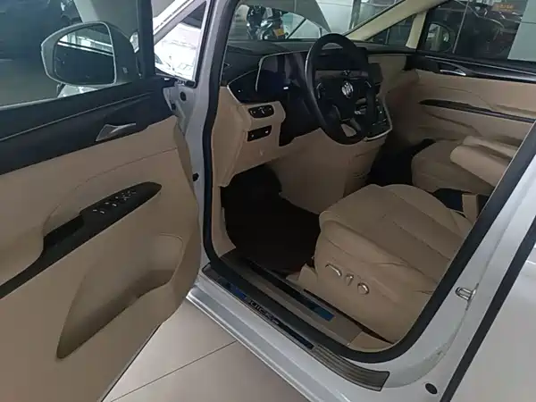 Buick GL8 2022, фото 15