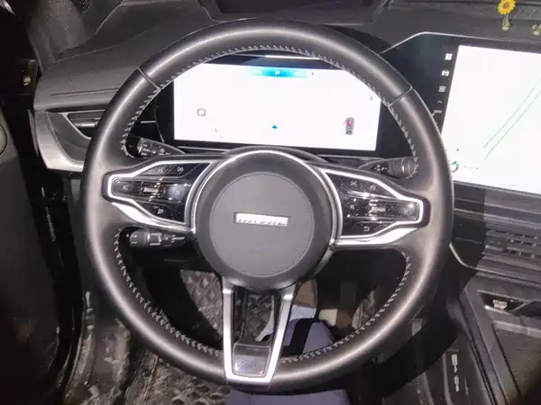 Haval Shenshou 2022, фото 15