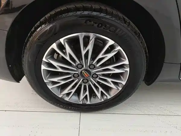 Hongqi H5 2023, фото 16