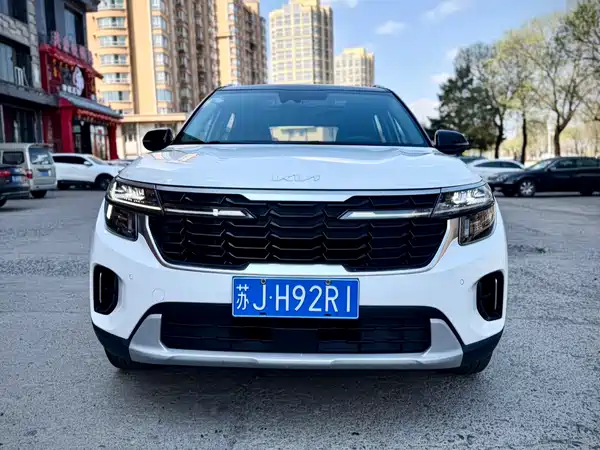 Kia Seltos 2023, фото 2
